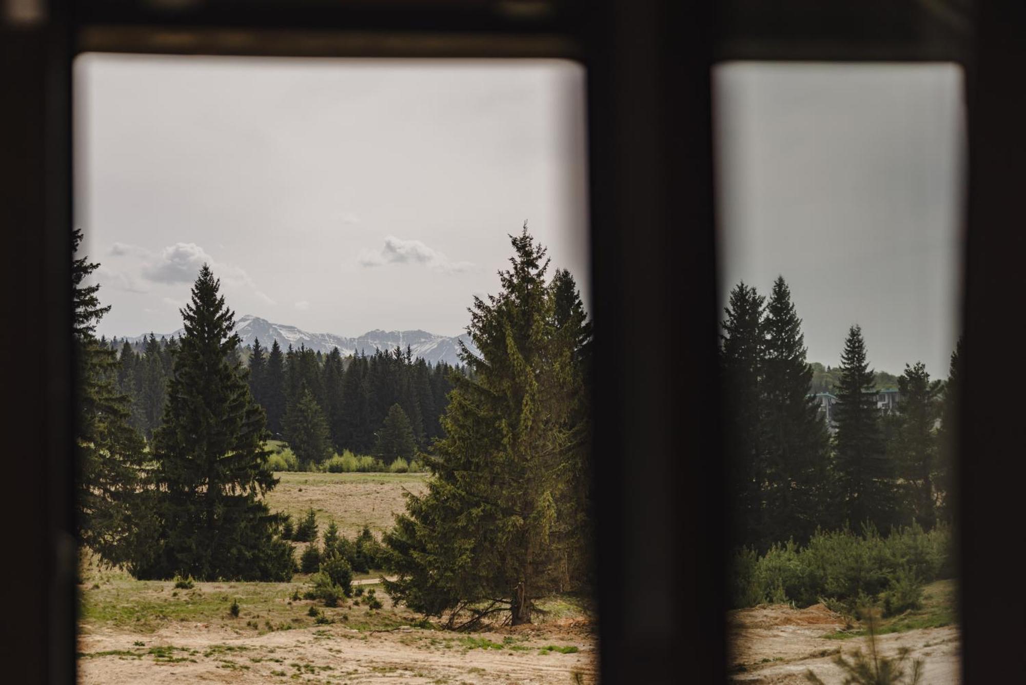 Albert Residence Aparthotel Grand Chalet With Free Spa Access To Alpin Resort Пояна-Брашов Екстер'єр фото